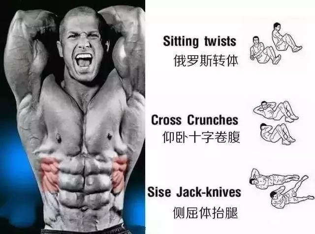 怎么練腹肌最快7天——高效腹肌鍛煉指南，高效腹肌鍛煉秘籍，七天速成指南