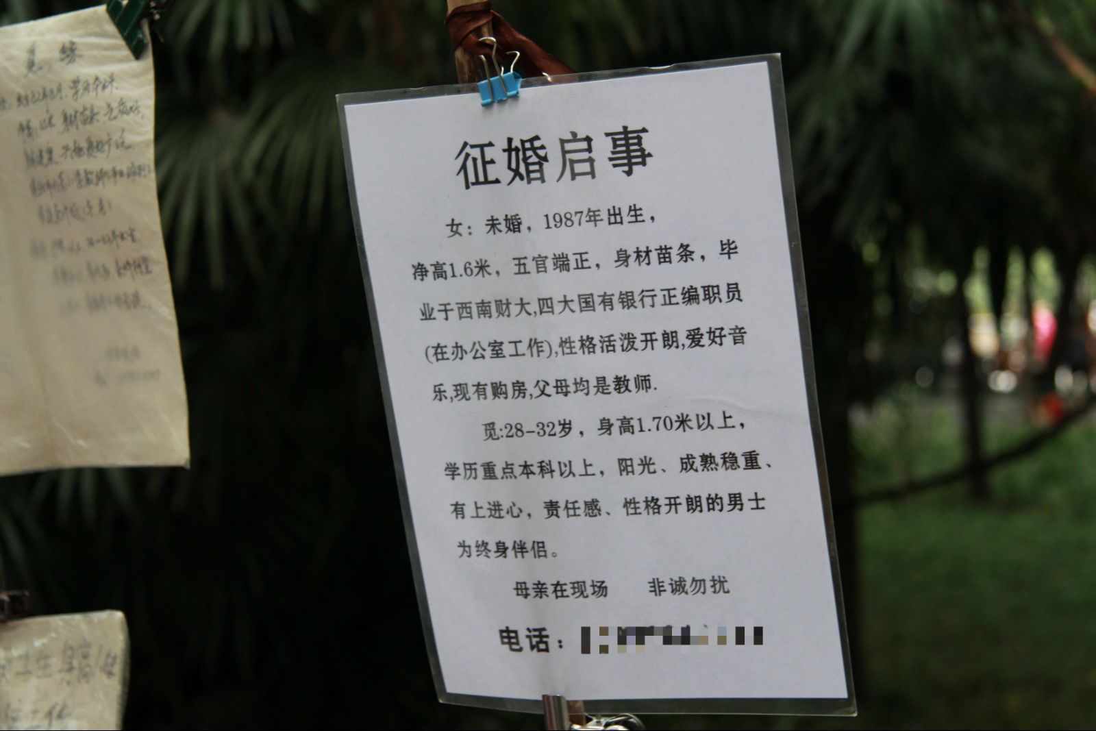 再婚網(wǎng)征婚啟事，尋找生命中的另一半，再婚征婚啟事，尋找生命中的另一半伴侶