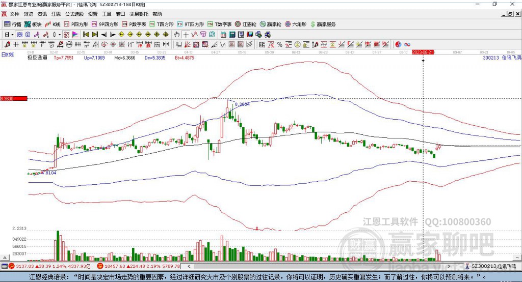 股票300213，深度解析與前景展望，股票300213深度解析與未來前景展望