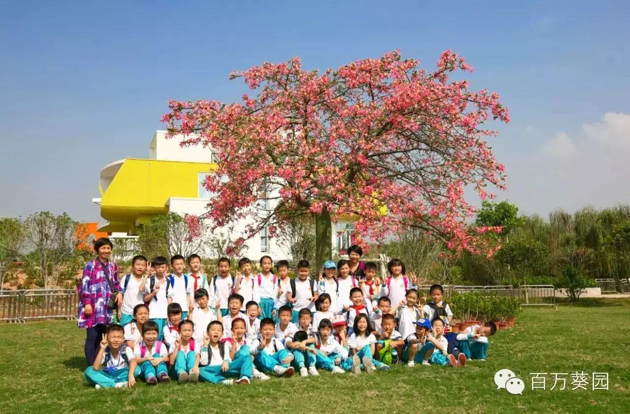 百萬葵園門票價格更新及游客體驗(yàn)指南，百萬葵園門票價格更新與游客體驗(yàn)攻略