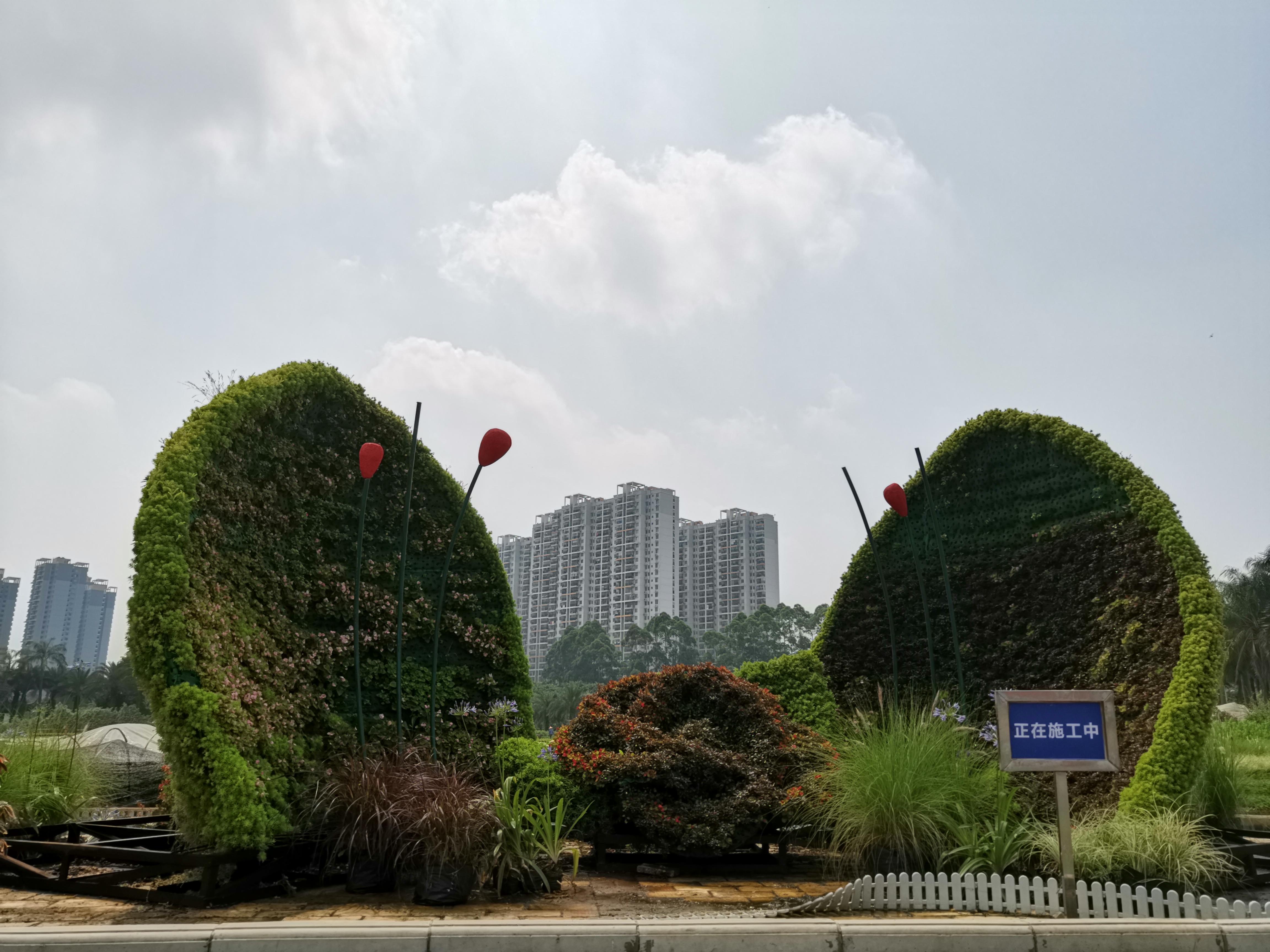 laiyalan 第6頁(yè)