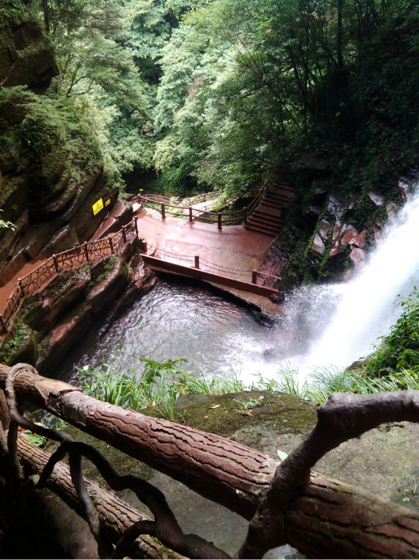 雅安碧峰峽旅游攻略，雅安碧峰峽游玩攻略大全