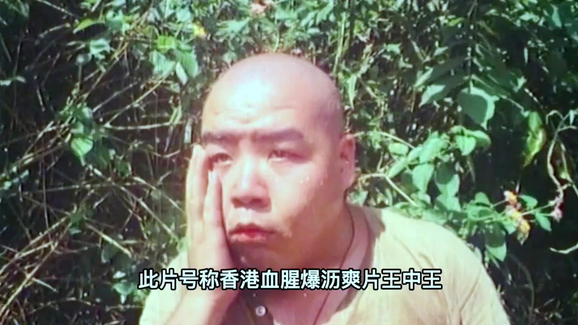 香港王中王資料大全免費(fèi)，深度解析與免費(fèi)獲取途徑，香港王中王資料大全，深度解析、免費(fèi)獲取途徑揭秘