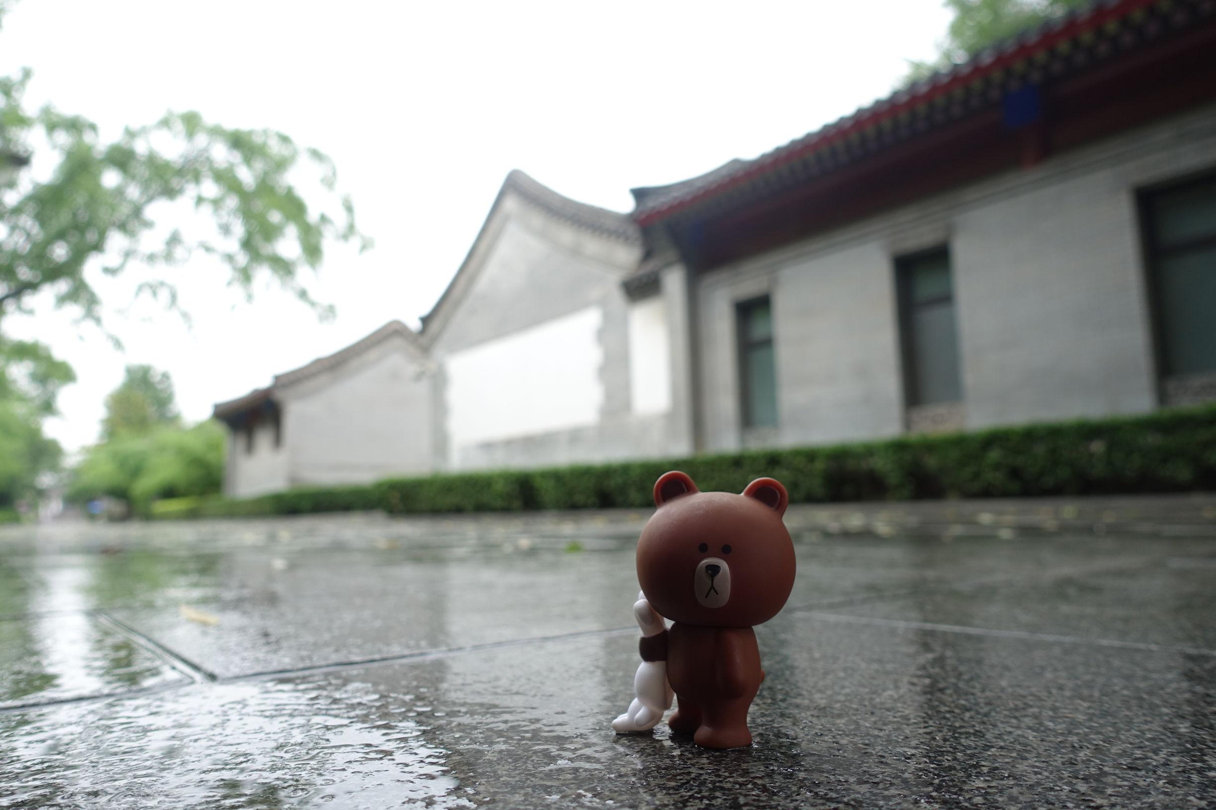 北京相親公園時(shí)間表2021，一場(chǎng)尋找緣分的盛會(huì)，北京相親公園2021年度緣分尋找盛會(huì)時(shí)間表揭曉