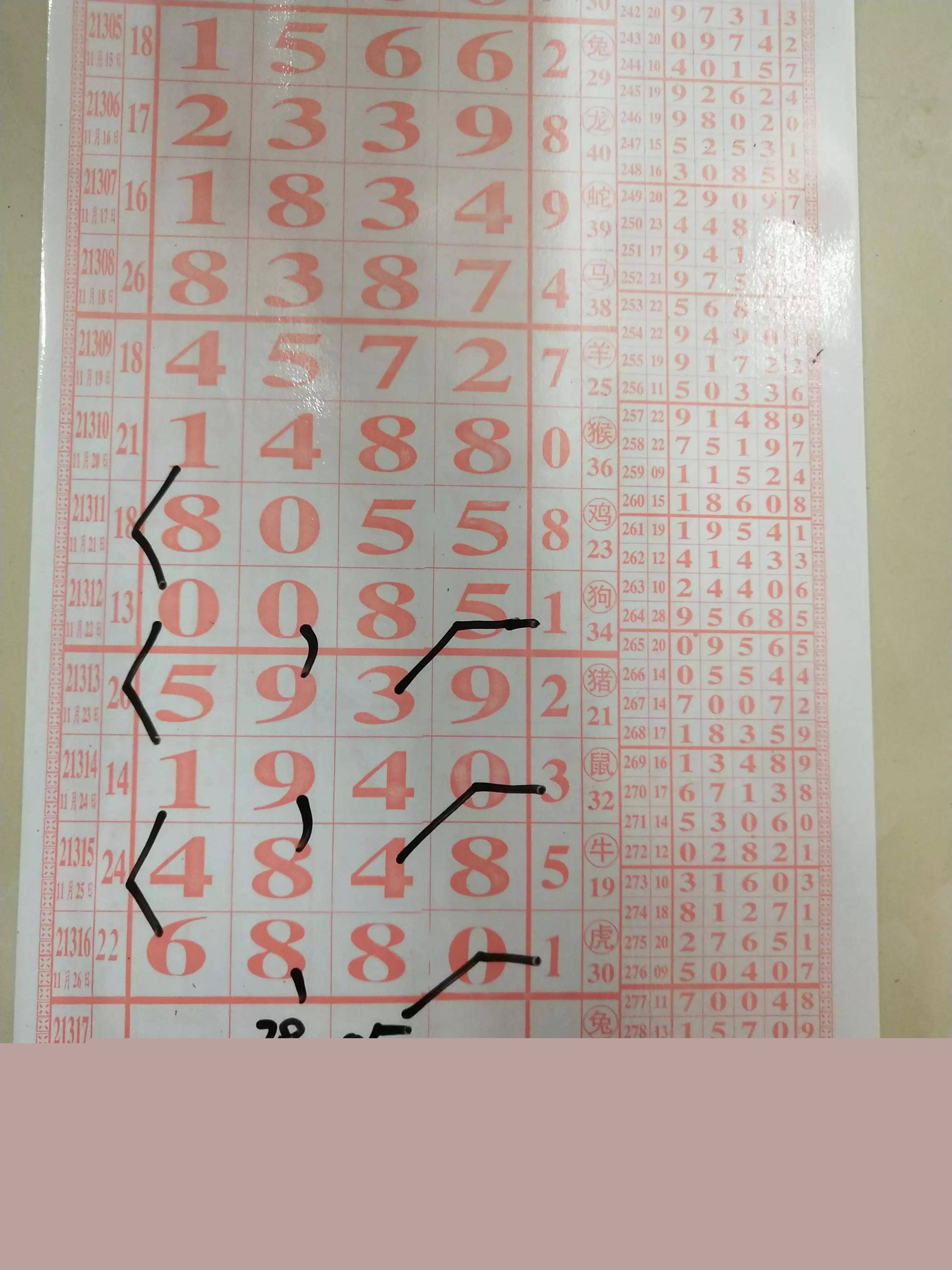 四肖八碼精準(zhǔn)資料期期準(zhǔn)，揭秘精準(zhǔn)預(yù)測(cè)的魅力與重要性，揭秘四肖八碼精準(zhǔn)預(yù)測(cè)的魅力與重要性，期期準(zhǔn)的資料揭示真相