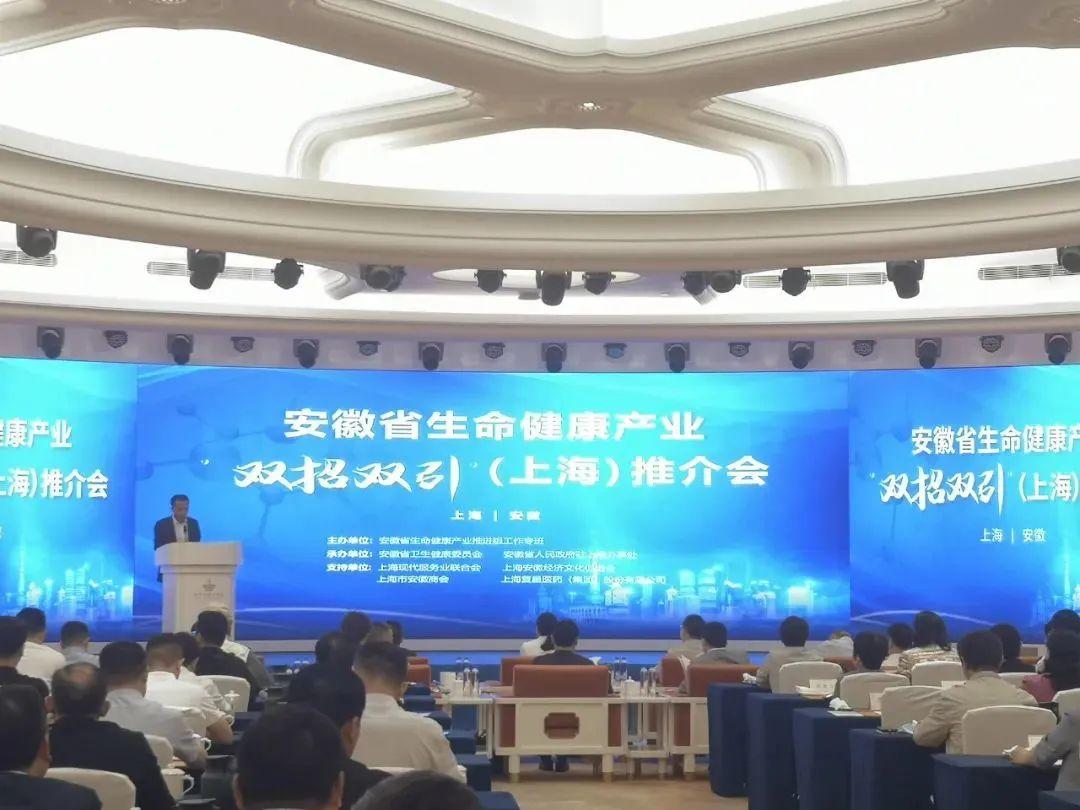 安徽合力股份有限公司，引領(lǐng)行業(yè)發(fā)展的先鋒力量，安徽合力股份有限公司，行業(yè)先鋒，引領(lǐng)發(fā)展之路