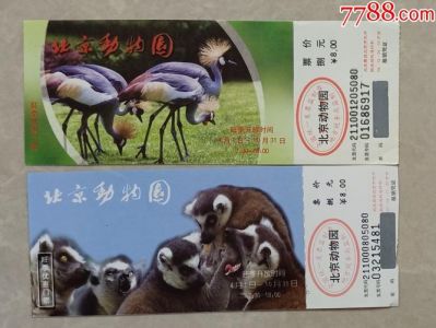 北京動物園門票預約攻略，北京動物園門票預約攻略詳解