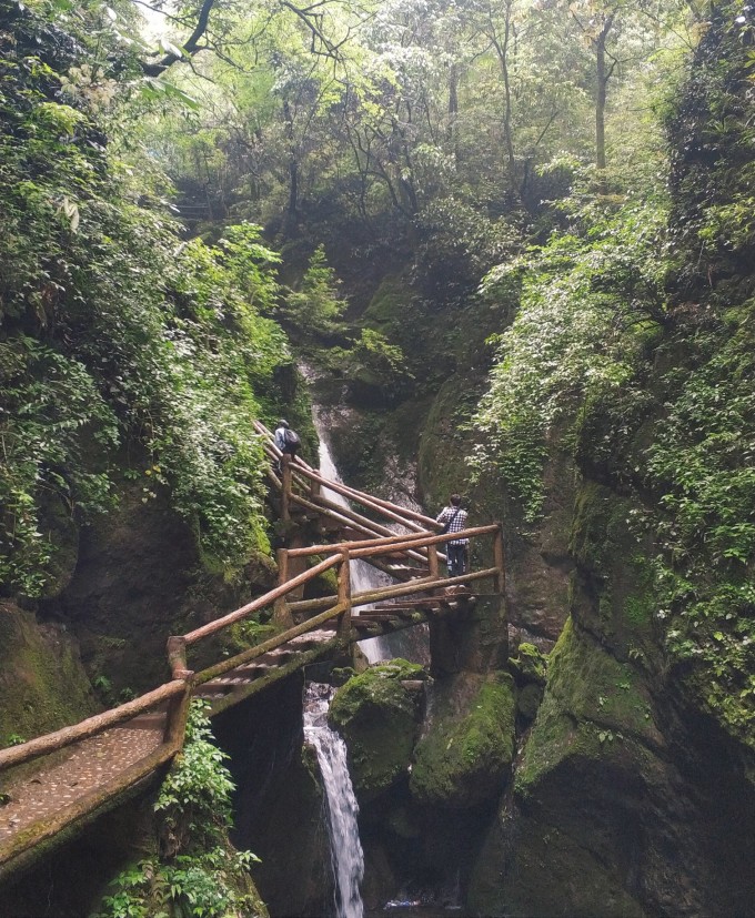 青城山后山旅游攻略，探索美麗的自然秘境，青城山后山探險之旅，自然秘境的旅游攻略