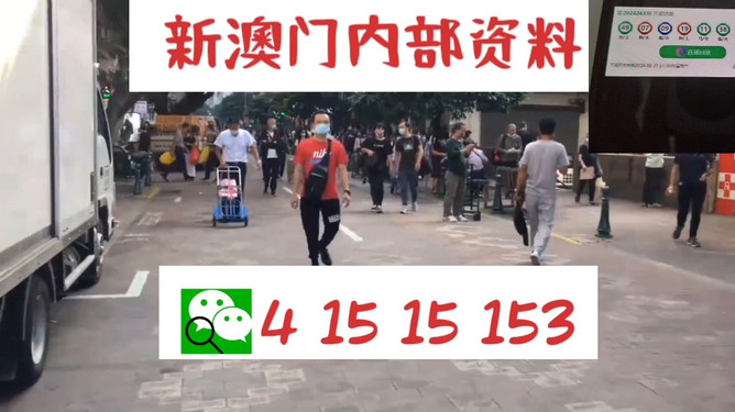 澳門管家婆，揭秘數(shù)字背后的故事與魅力，澳門管家婆，數(shù)字背后的故事與魅力揭秘