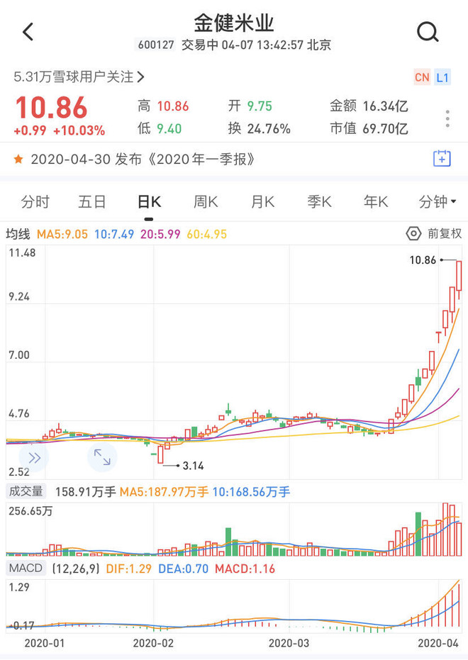 金健米業(yè)股票怎么樣？深度解析其潛力和風險，金健米業(yè)股票深度解析，潛力與風險探討