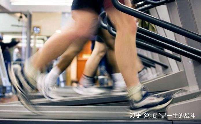 有氧運(yùn)動(dòng)會(huì)掉肌肉嗎，真相解析，有氧運(yùn)動(dòng)是否導(dǎo)致肌肉流失？真相揭秘