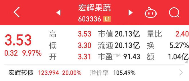 宏輝果蔬股吧，探索603336背后的故事，宏輝果蔬股吧深度解析，揭秘背后的故事與機(jī)遇（股票代碼，603336）