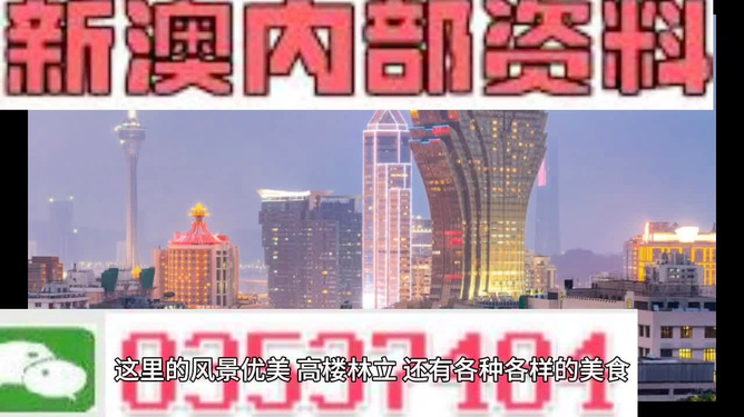 2025新奧精準(zhǔn)資料大全，深度解析與前瞻展望，2025新奧精準(zhǔn)資料大全，深度解析與未來(lái)展望