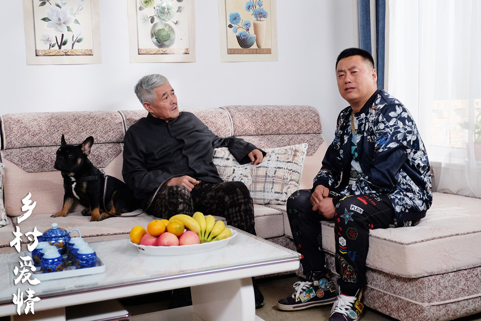鄉(xiāng)村愛情9，情感交織的田園生活，鄉(xiāng)村愛情9，情感交織的田園生活之旅
