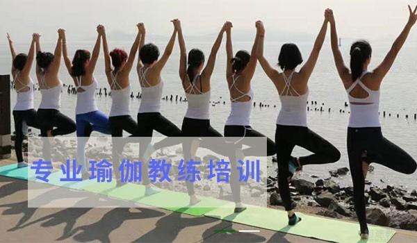 深圳瑜伽教練培訓(xùn)學(xué)校，培養(yǎng)專業(yè)瑜伽人才的搖籃，深圳瑜伽教練培訓(xùn)學(xué)校，培育專業(yè)瑜伽人才的搖籃