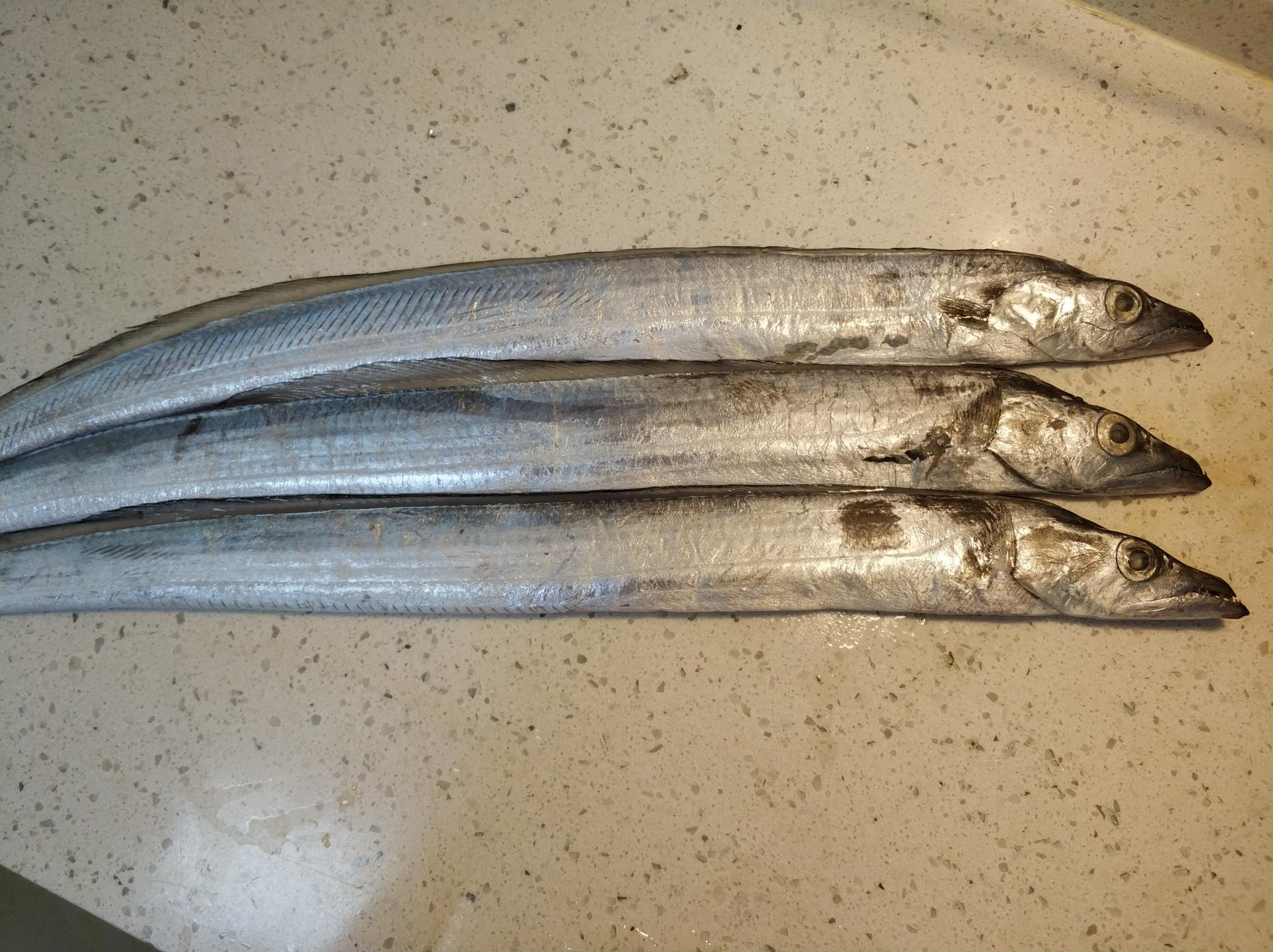 家常干炸帶魚的做法，美味與健康并存，家常干炸帶魚，美味與健康共享的獨特做法