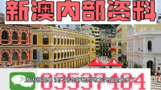 新澳門天天資料，探索與解讀，新澳門天天資料，深度探索與解讀