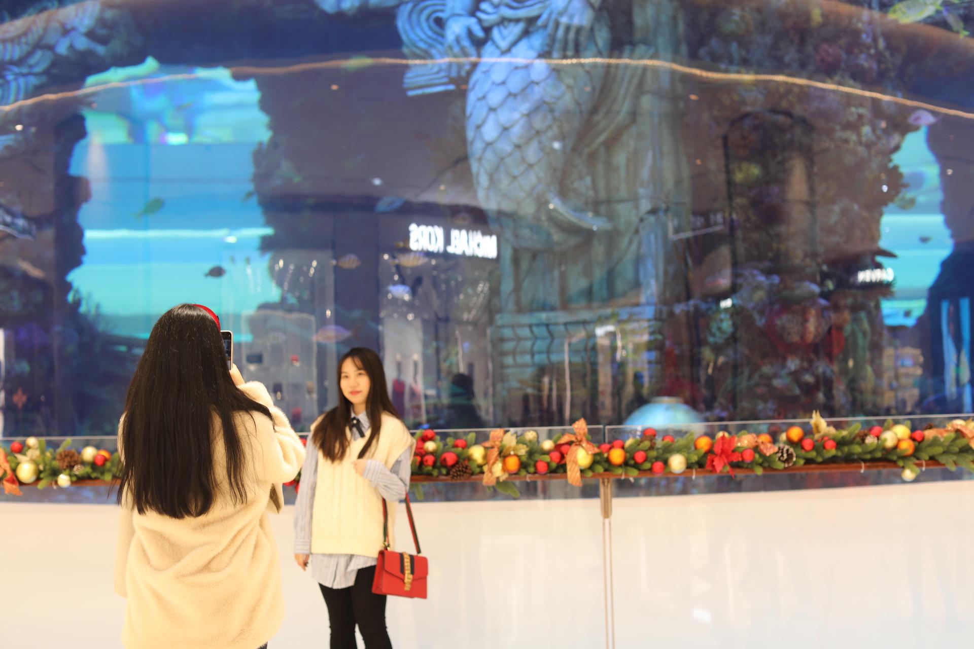揭秘重慶海洋館門票價格，探索海洋世界的奧秘之旅，重慶海洋館門票揭秘，探索海洋世界的神秘之旅