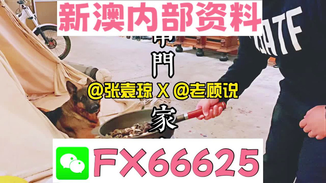 新澳門2025年資料大全管家婆，探索與預(yù)測，澳門未來展望，2025年資料大全與預(yù)測分析