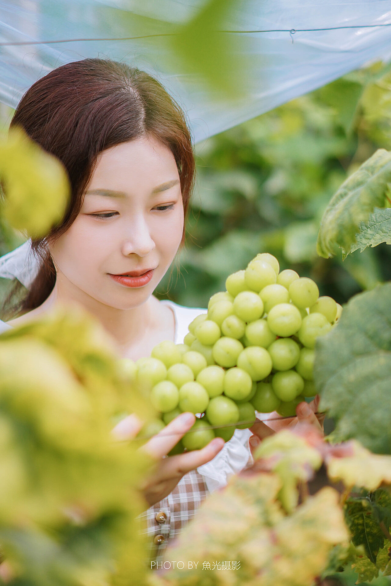 葡萄成熟時(shí)——國(guó)語完整版，一曲時(shí)光與味道的交響樂章，葡萄成熟時(shí)——時(shí)光與味道的交響樂章（國(guó)語完整版）