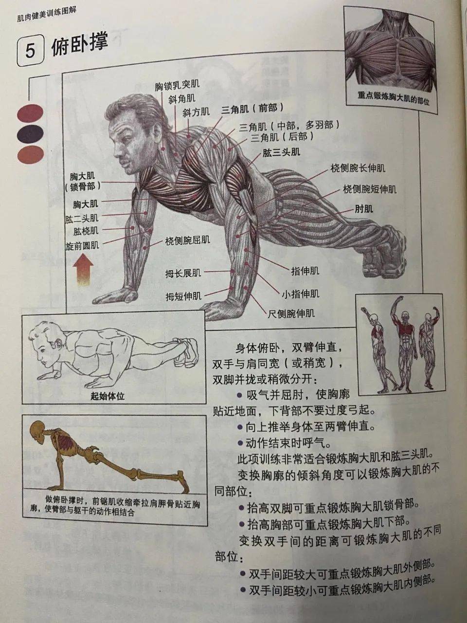 鍛煉胸肌的好處，塑造健康與魅力，鍛煉胸肌，塑造健康與魅力的秘訣
