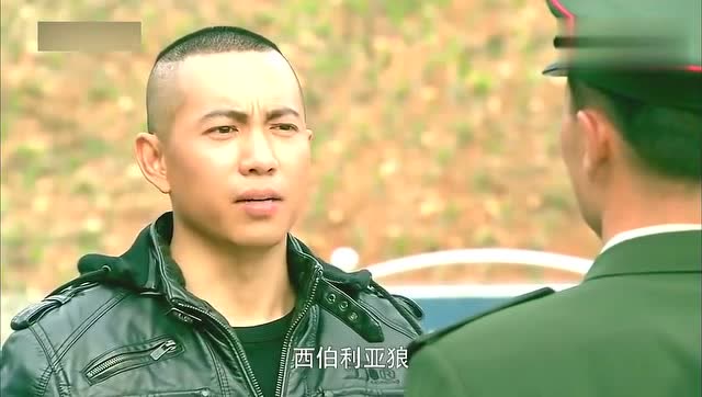 我是特種兵第一部小莊，鐵血戰(zhàn)士的成長與傳奇，小莊的成長與傳奇，特種兵鐵血戰(zhàn)士的第一部故事
