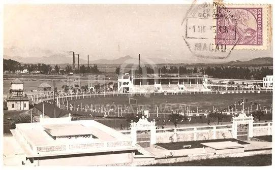 新澳門跑狗圖正版免費(fèi)，探索與解析，澳門正版跑狗圖探索與解析指南