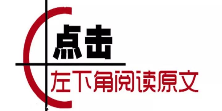探索澳門彩票文化，第273期澳門必開一肖的神秘面紗，澳門彩票文化揭秘，第273期必開生肖的神秘面紗探索