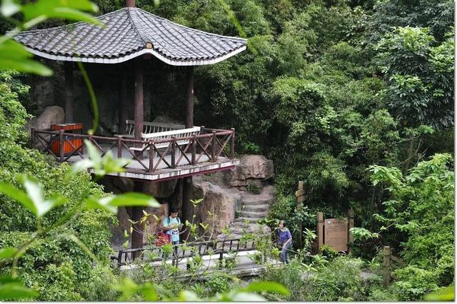 佛山一日游，探索美麗的旅游景點，佛山一日游，探尋美景之旅