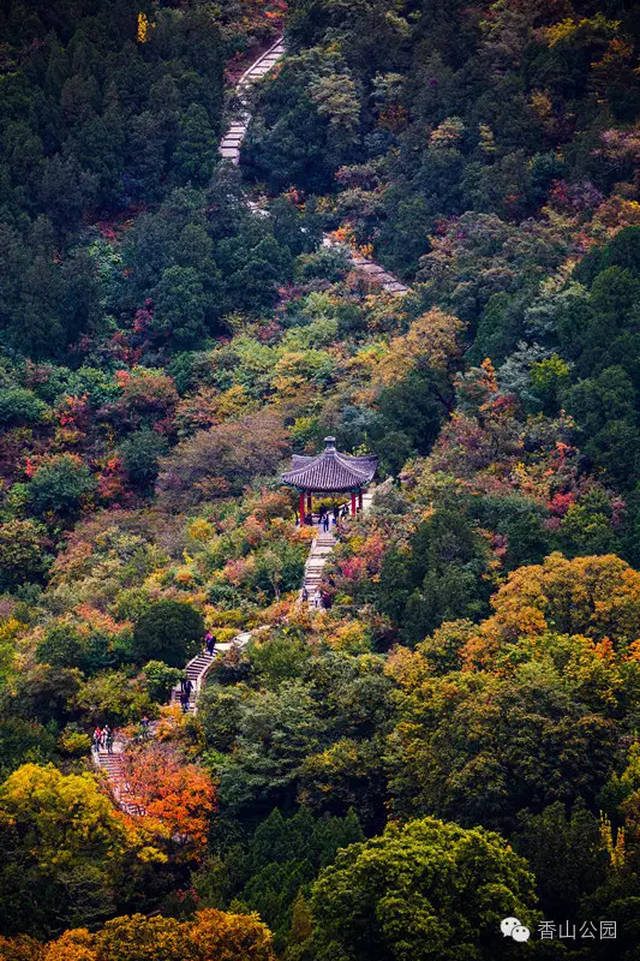 香山公園官網(wǎng)門(mén)票預(yù)約攻略，香山公園門(mén)票預(yù)約攻略指南