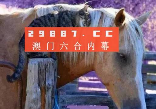 澳門最快開獎六開四不像，探索與解析，澳門六開四不像彩票開獎探索與解析