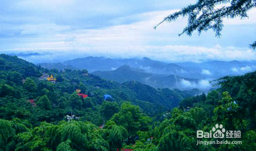 莫干山旅游，探索自然之美，領(lǐng)略人文韻味，莫干山之旅，自然人文的絕美交融探索之旅