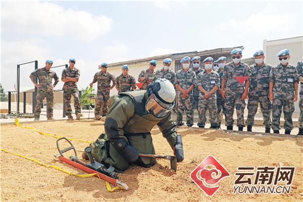維和步兵營免費觀看全集電視劇，熱血軍旅展現英雄本色，維和步兵營，熱血軍旅展現英雄本色，全集免費觀看