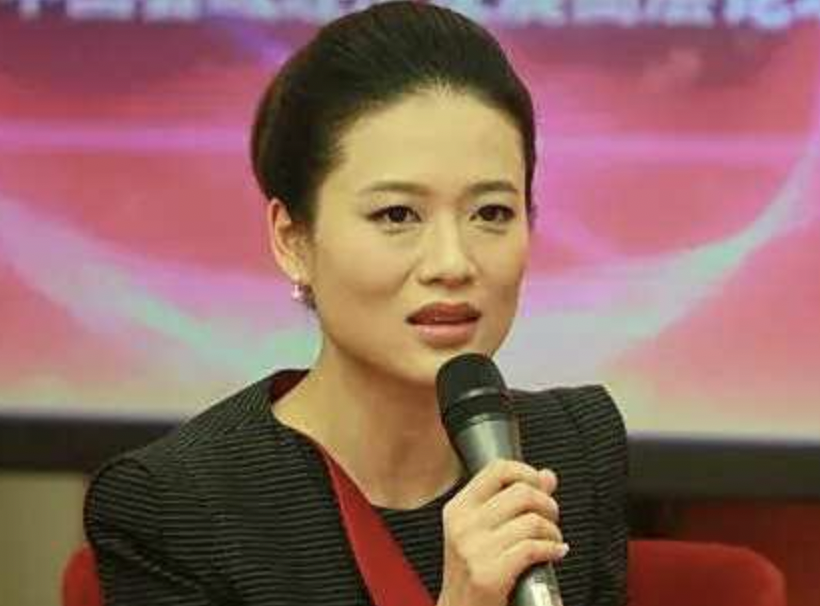 央視主持人楊迪個人資料解析，央視主持人楊迪個人資料深度解析