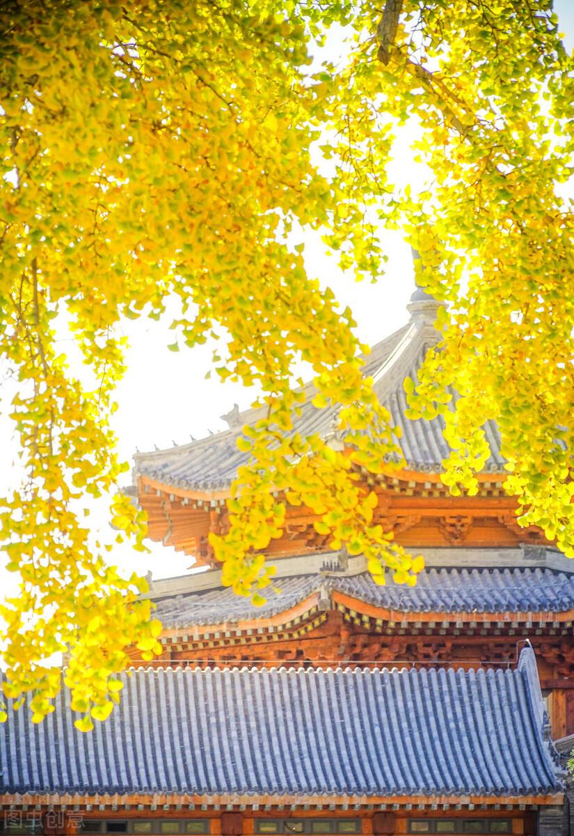 北京七天游玩攻略，深度體驗(yàn)古都的魅力，北京深度游七天攻略，古都魅力的全方位體驗(yàn)