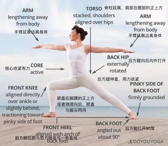 瑜伽減肥的原理，瑜伽減肥的原理與效果解析