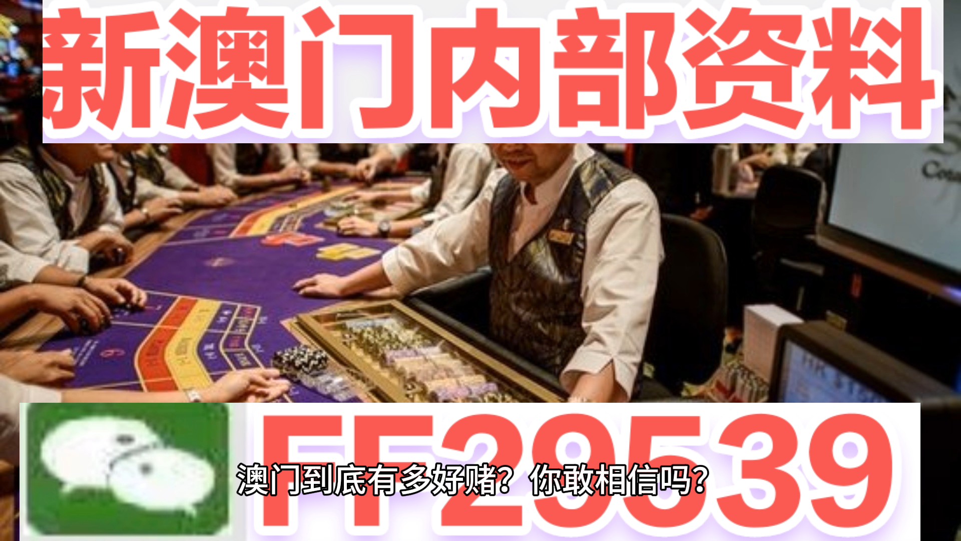 澳門今晚必開一肖一特——探尋幸運(yùn)之門的秘密，澳門幸運(yùn)之門揭秘，今晚必開一肖一特之秘