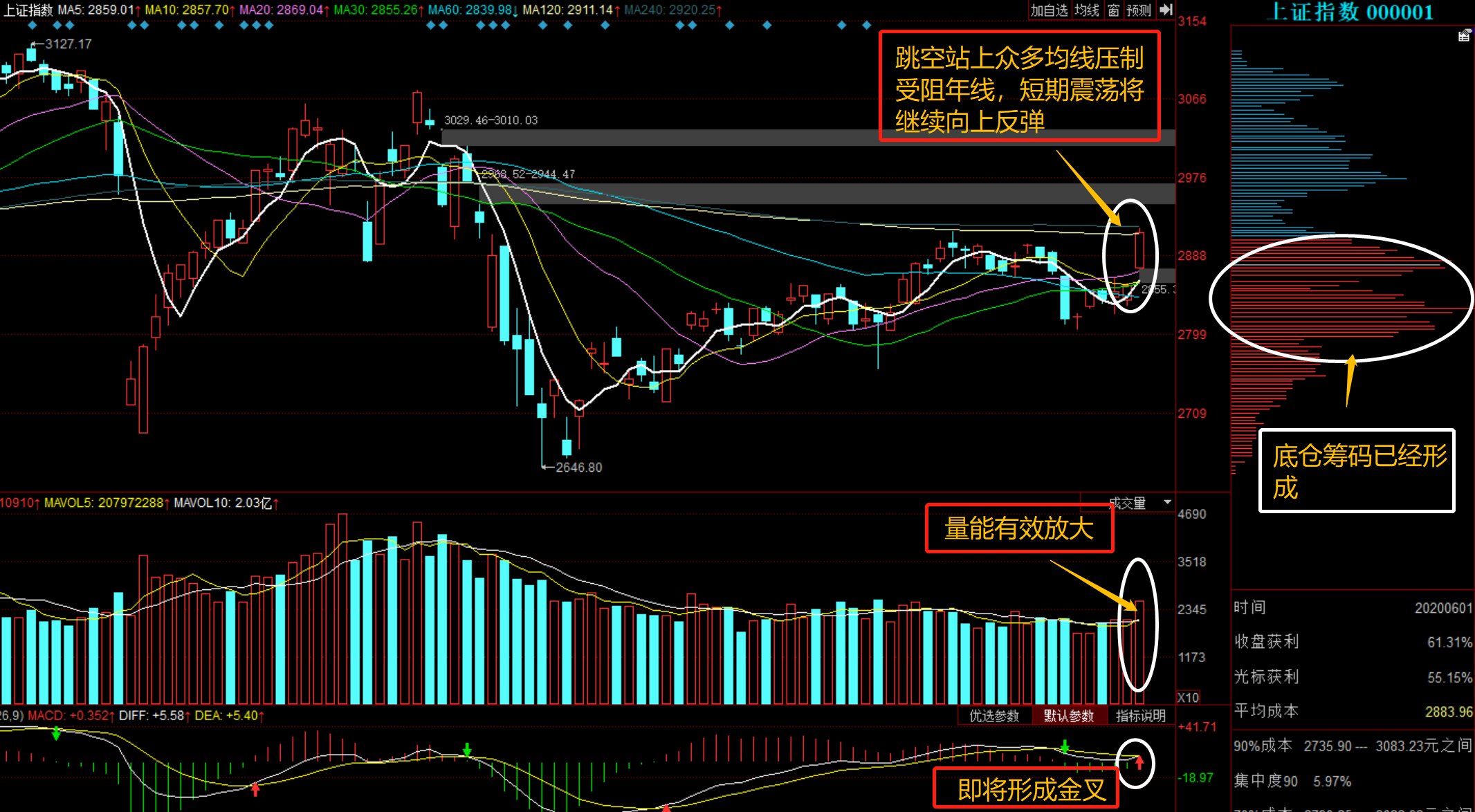 關(guān)于股票行情的探討——聚焦股票行情分析中的關(guān)鍵因素，300941行情分析，股票行情分析聚焦，關(guān)鍵因素探討與300941行情解讀