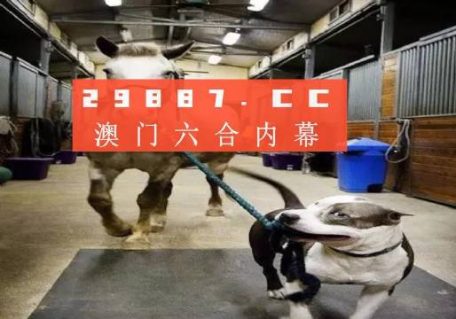澳門一肖一碼一必中，一肖同舟前進的獨特魅力，澳門一肖一碼魅力，獨特前進，必中同舟前進之路