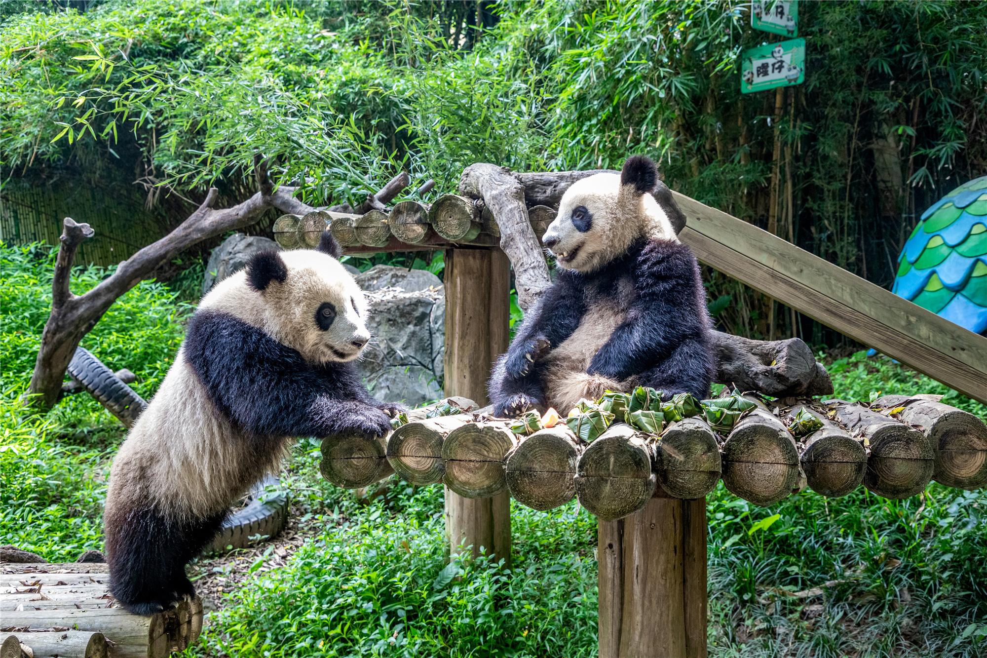 暑假親子旅游景點推薦——打造美好家庭回憶的理想之地，暑假親子游必去景點推薦，打造美好家庭回憶的理想目的地