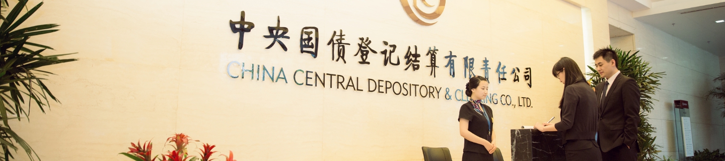 中國(guó)證券登記結(jié)算有限公司官網(wǎng)深度解析，中國(guó)證券登記結(jié)算有限公司官網(wǎng)全面解析