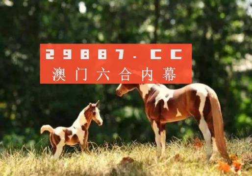 Uc澳門六開獎記錄最快，探索與解析，Uc澳門六開獎記錄最新探索與解析