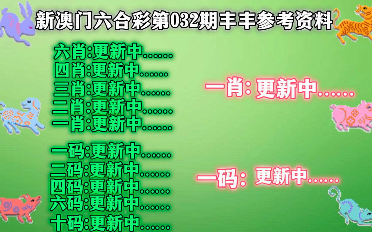 澳門一肖一碼中的奧秘與探索，澳門一肖一碼中的奧秘揭秘與探索之旅