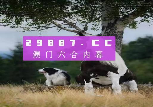 澳門彩票開獎背后的故事，探尋數(shù)字77777與88888的魅力（2023年一瞥），澳門彩票開獎背后的故事，數(shù)字77777與88888的魅力揭秘（2023年最新觀察）