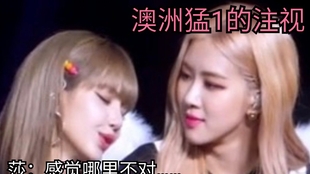 寂寞情人，一段深情與孤獨(dú)的故事（正版），寂寞情人，深情與孤獨(dú)的正版故事