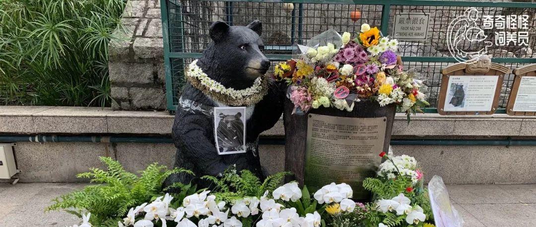 澳門彩最快開獎直播今天，揭秘彩票背后的故事，澳門彩直播開獎揭秘，彩票背后的故事與今日最快開獎直播回顧