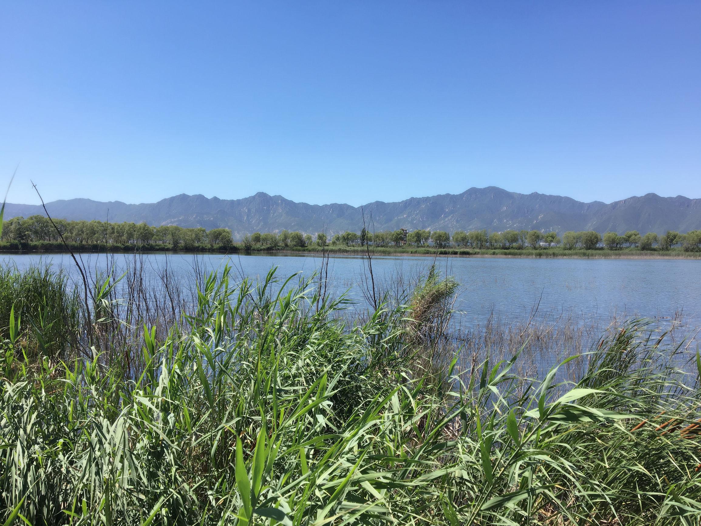 昆明野鴨湖風(fēng)景區(qū)，自然之韻，人文之魅，昆明野鴨湖風(fēng)景區(qū)，自然人文交融的魅力之地