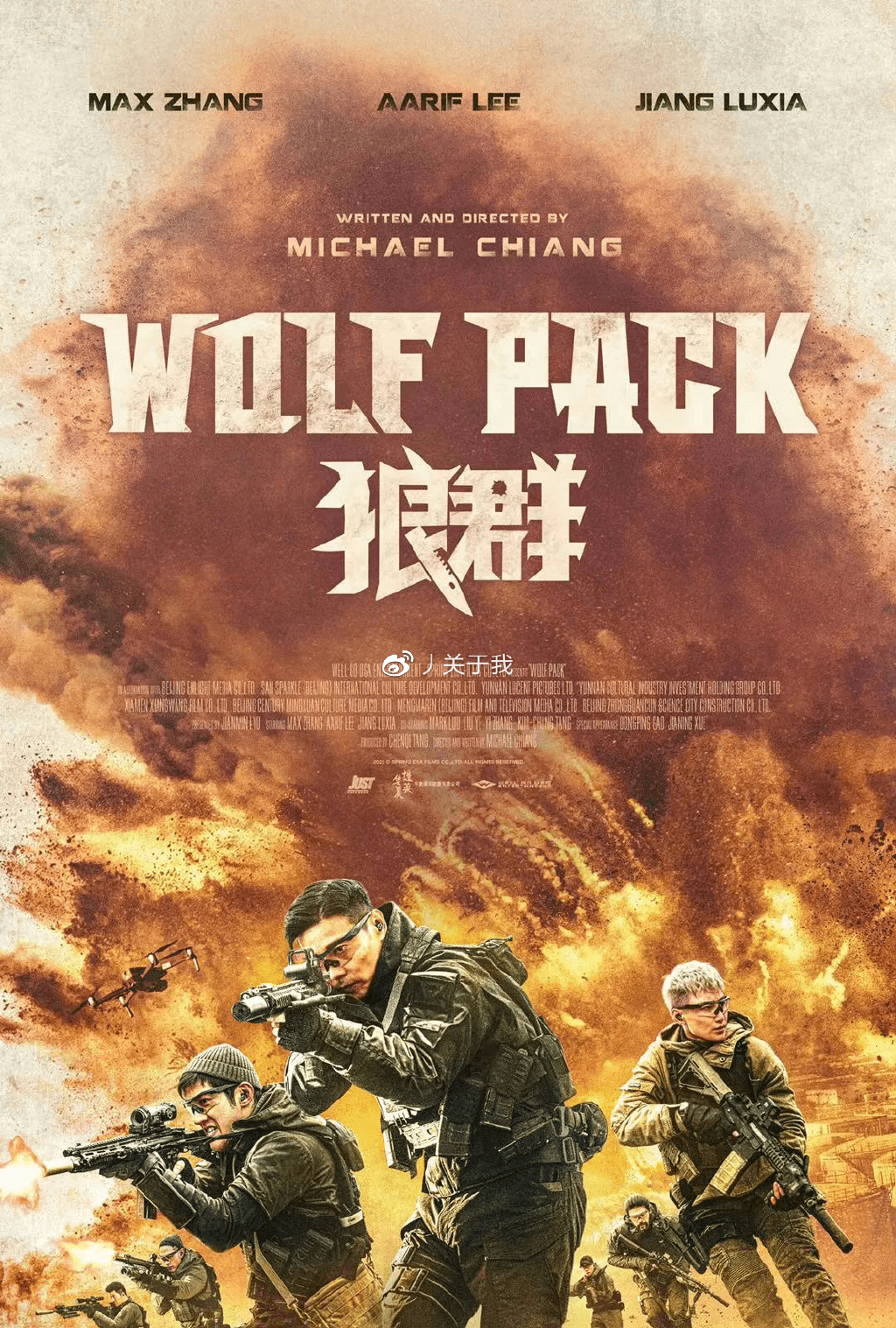 狼群影視在線觀看視頻大全，探索影視娛樂的新世界，狼群影視在線觀看視頻大全，影視娛樂新世界探索