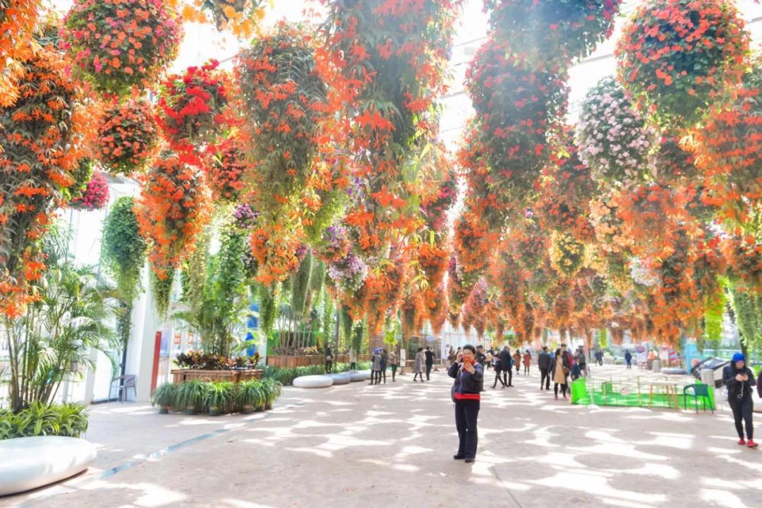 濰坊旅游景點推薦自駕游，濰坊自駕游景點推薦攻略