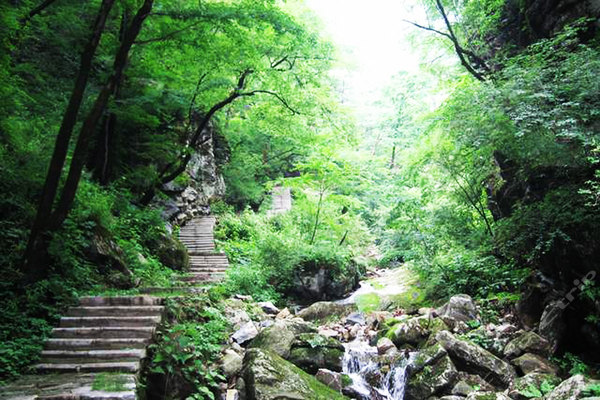 蟒山國家森林公園，北京的自然寶藏，蟒山國家森林公園，北京的自然秘境